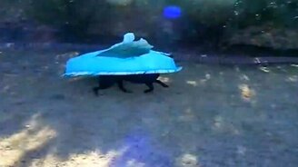 Живой бассейн - смотреть видео (0:25)