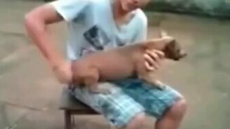 Как завести собачку-злючку - смотреть видео (0:23)