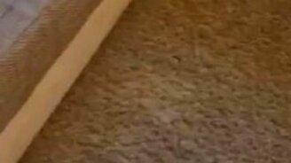 Кот резвится с пылесосом - смотреть видео (0:32)