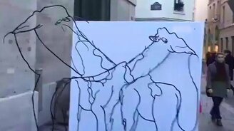 Так - жирафы, а сяк - слон - смотреть видео (0:34)