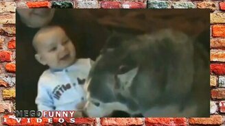 Приколы с детишками и псинками - смотреть видео (7:21)