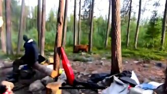 Как отпугнуть медведя - смотреть видео (0:20)