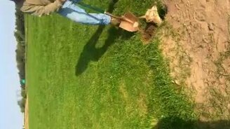 Спас детёныша альпаки - смотреть видео (2:59)