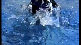 Маленькая пантера впервые в воде - смотреть видео (0:24)