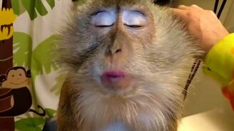 Ну всё - пора на свидание! - смотреть видео (3:37)