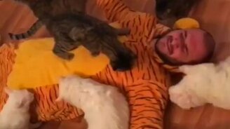 Одинокий и независимый кошатник - смотреть видео (0:33)