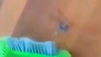 Паук не страшен, пока далеко - смотреть видео (0:18)