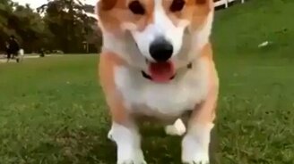 Ну давай поиграем! - смотреть видео (0:06)