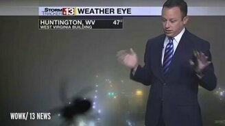 Ведущий испугался паука - смотреть видео (0:33)