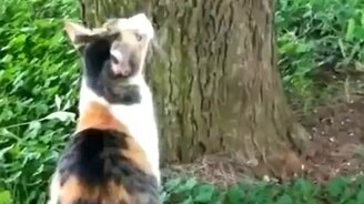 Как надо воспитывать детей - смотреть видео (2:12)