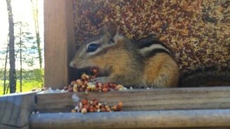 Скинул балласт от страха - смотреть видео (0:32)