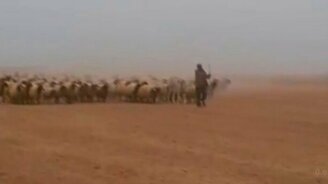 Почувствуй себя генералом! - смотреть видео (0:27)