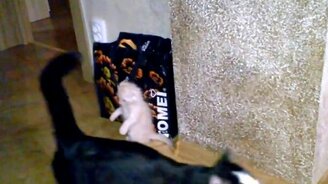 Когда на тебя не обращают внимания - смотреть видео (0:44)