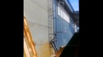 Кошка на железной вертикальная лестнице - смотреть видео (0:32)