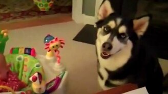 Чтобы малыш перестал плакать - смотреть видео (0:28)