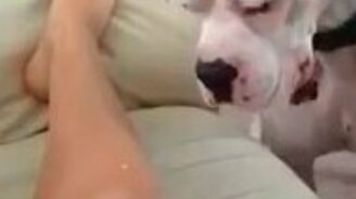 Схватил лазерный свет зубами - смотреть видео (0:15)