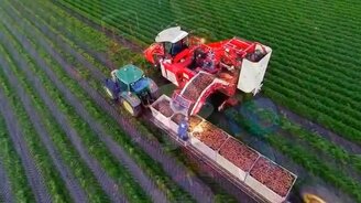 Комбайн для сбора моркови - смотреть видео (3:56)