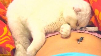 Сны белого кота - смотреть видео (1:59)