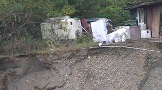 Мать спасает своего котёнка - смотреть видео (1:33)