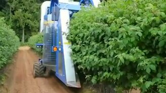 Комбайн для сбора малины - смотреть видео (3:03)