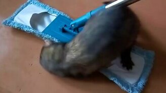 Две швабры в одной - смотреть видео (0:47)