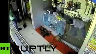Обезьяна ограбила ювелирный - смотреть видео (1:09)
