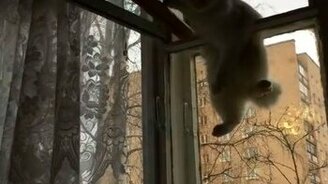 Кто-то слишком много ест - смотреть видео (0:20)