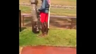 Как быстро взобраться на пальму - смотреть видео (0:57)