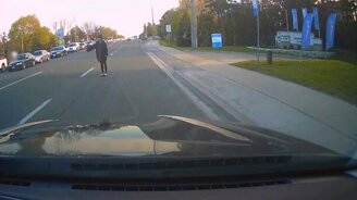 Женщина помогает птицам-пешеходам - смотреть видео (1:00)