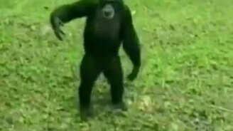 Подари мне платок - смотреть видео (0:07)