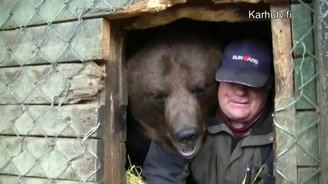 Подготовка домашнего мишки к спячке - смотреть видео (2:16)