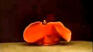 Как танцевали 120 лет назад - смотреть видео (0:49)