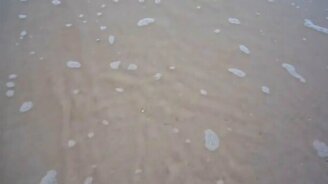 Мидия проявили себя - смотреть видео (0:59)