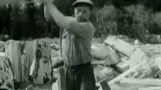 Как раньше дрова кололи - смотреть видео (0:58)