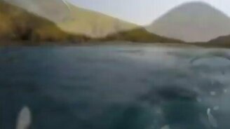 Акула плавает вокруг каяка - смотреть видео (1:23)