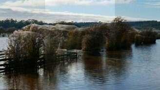 Гигантские паутины - смотреть видео (1:48)