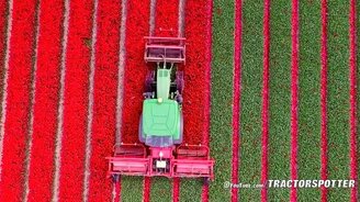 Машина для обрезки тюльпанов - смотреть видео (4:37)