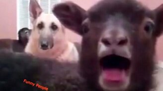 Юмор из жизни и кино - 3 - смотреть видео (5:20)