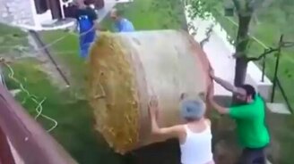 Сено укатилось от фермеров - смотреть видео (1:04)