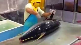 Быстрая разделка огромной рыбы - смотреть видео (1:32)