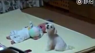 Друзья по несчастью - смотреть видео (0:52)