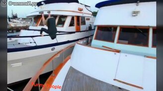 Люди и зверушки в сборнике приколов - смотреть видео (5:26)