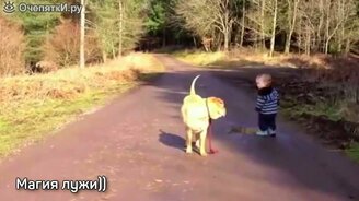 Чудаковатые и весёлые короткие ролики - смотреть видео (3:41)