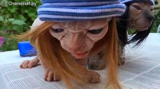 Короткие прикольности в сборке - смотреть видео (4:00)