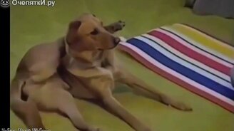 Приколы и неудачи в сборнике - смотреть видео (4:38)