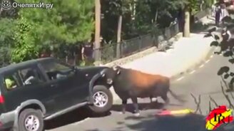 Смешное видео в сборнике приколов - смотреть видео (3:45)