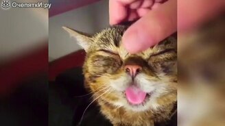 Смешные коуб-приколы - смотреть видео (3:36)