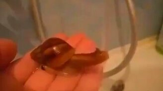 Мелкая чистюля - смотреть видео (0:31)