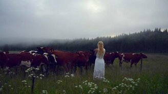 Как созвать стадо коров - смотреть видео (1:02)