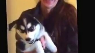 Когда не умеешь выть, но очень стараешься - смотреть видео (0:30)